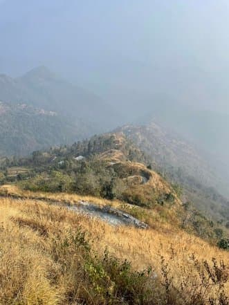 Chilapata Forest Edge